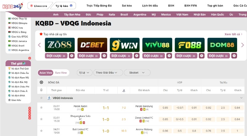 VĐQG Indonesia